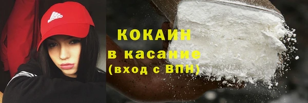 PSILOCYBIN Алзамай