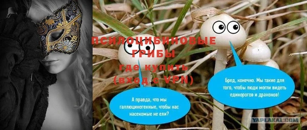 шишки Алексин