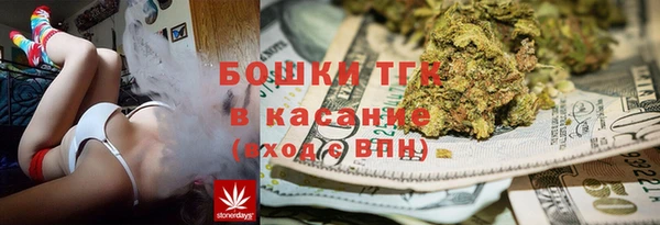 PSILOCYBIN Алзамай
